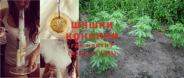 молекула духа Дмитров